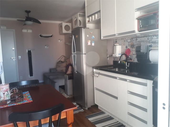 Foto REO1129437