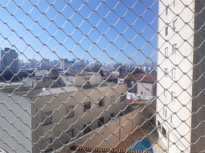 Foto REO1129437