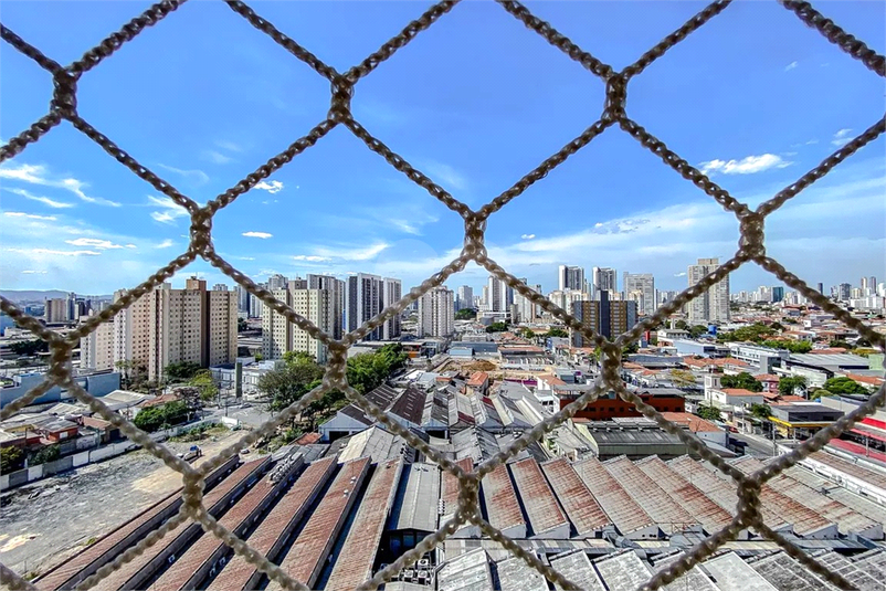 Foto REO1129439