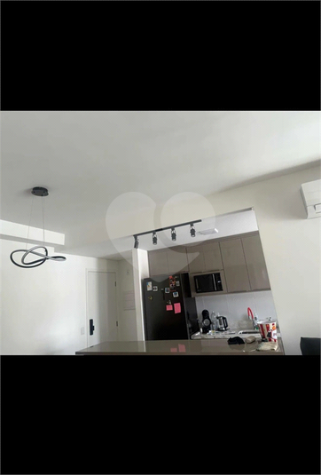 Foto REO1129446