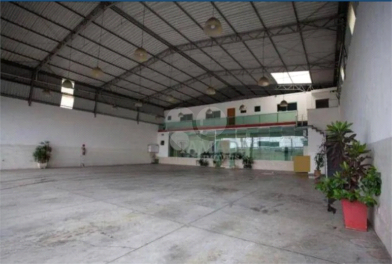 Foto REO1129451