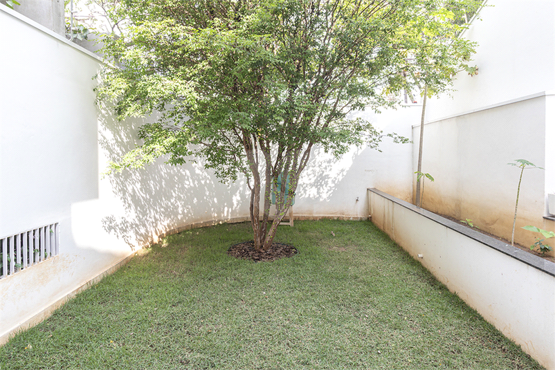 Foto REO1129452