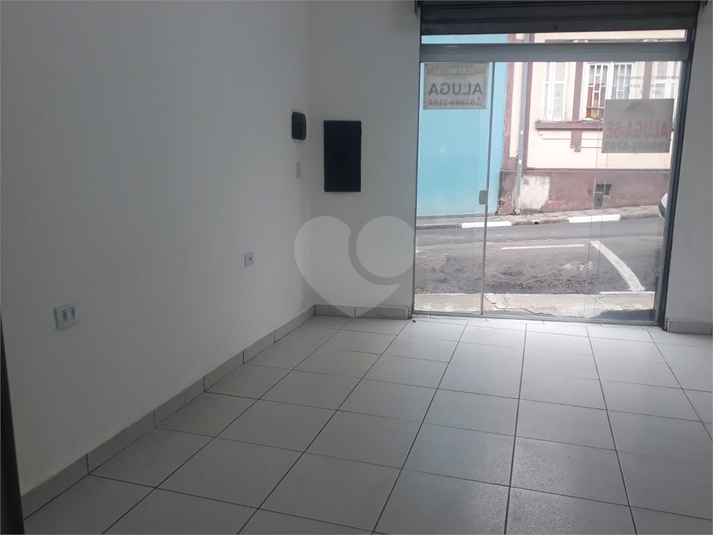 Foto REO1129453