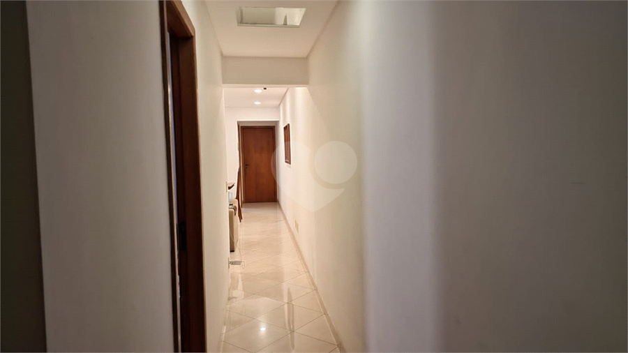 Foto REO1129456
