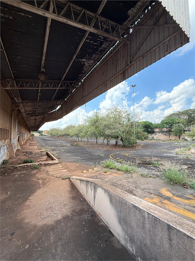 Foto REO1129457