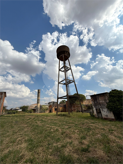 Foto REO1129457