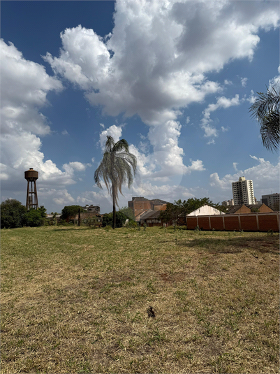 Foto REO1129457