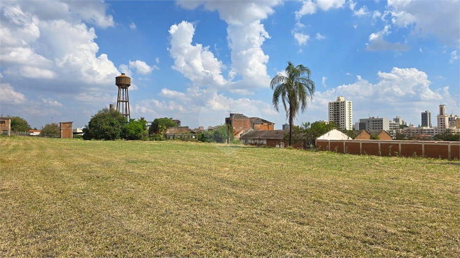 Foto REO1129457
