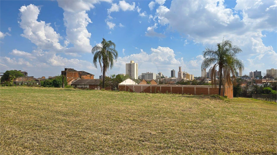 Foto REO1129457