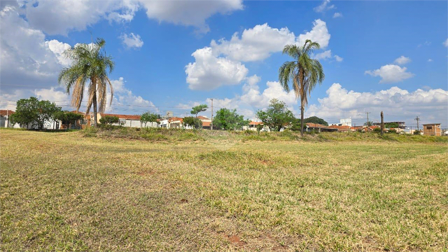 Foto REO1129457