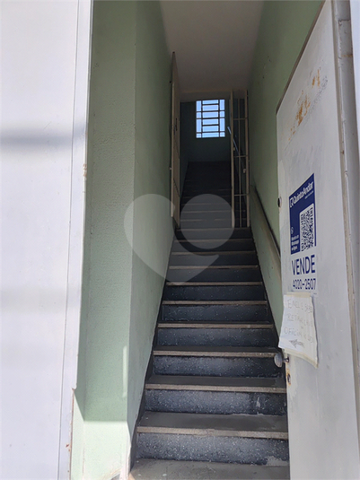 Foto REO1129459