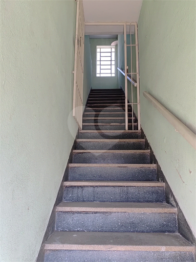 Foto REO1129459