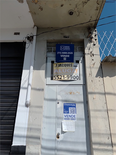 Foto REO1129459