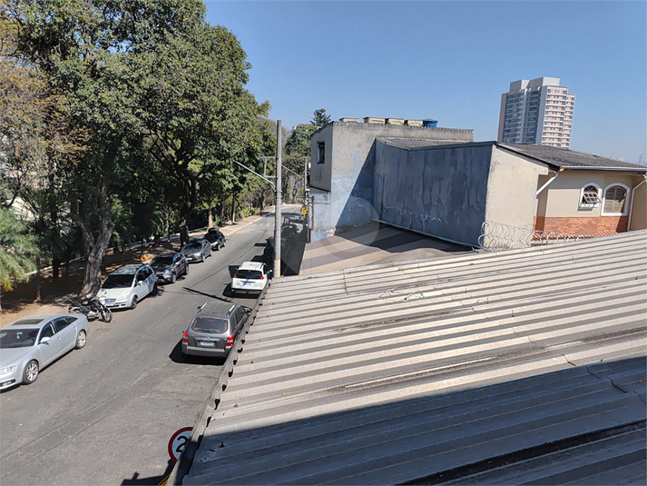 Foto REO1129459