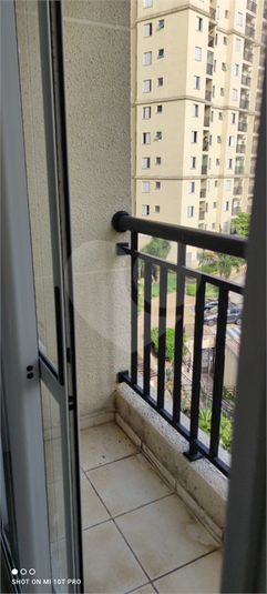 Foto REO1129460