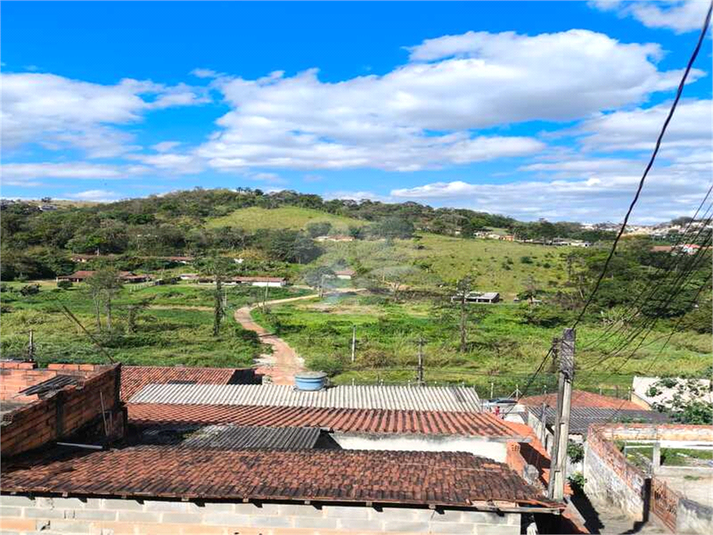 Foto REO1129461