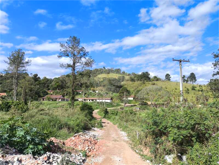 Foto REO1129461
