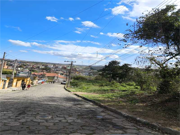 Foto REO1129461