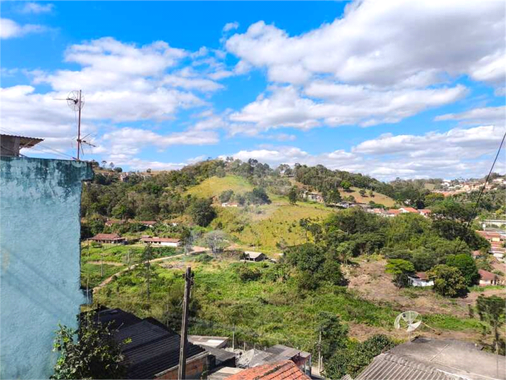 Foto REO1129461