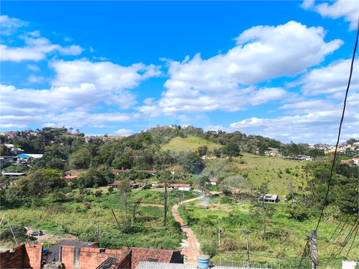 Foto REO1129461