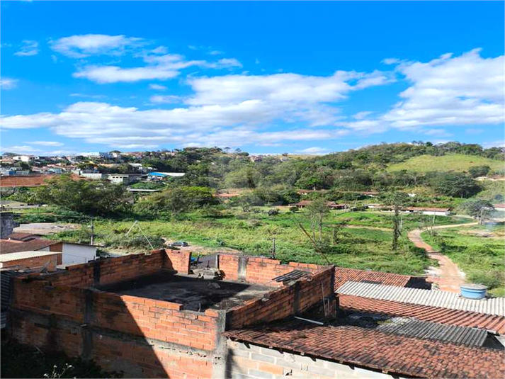 Foto REO1129461