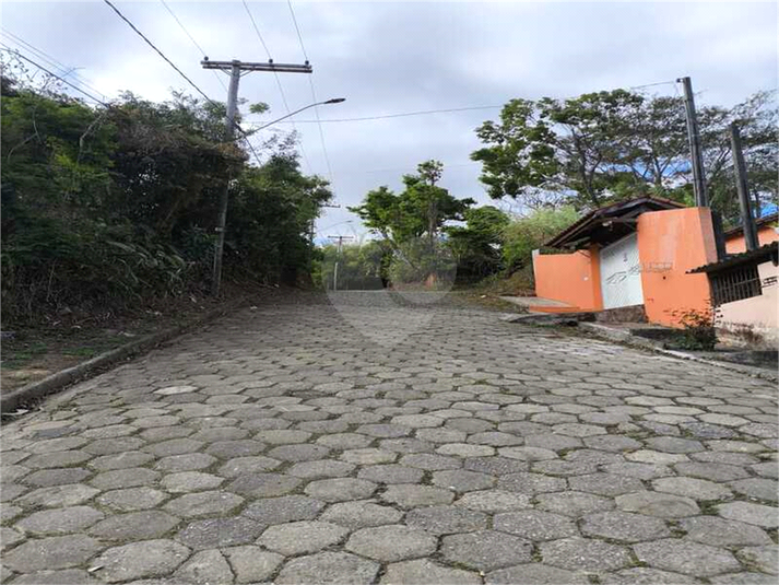 Foto REO1129461