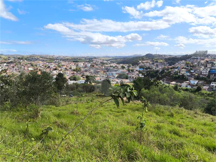 Foto REO1129463