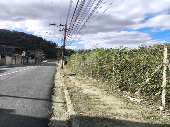 Foto REO1129463