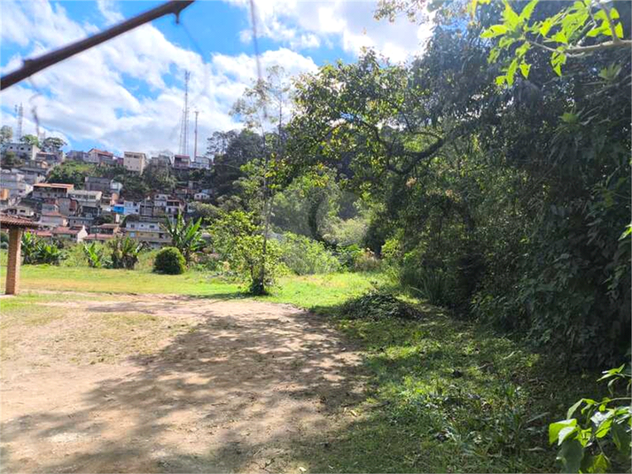 Foto REO1129463