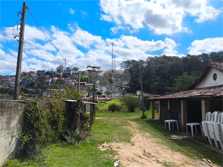 Foto REO1129463