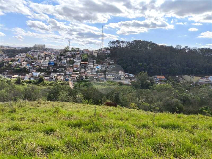 Foto REO1129463