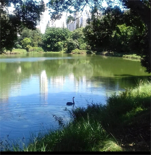 Foto REO1129478