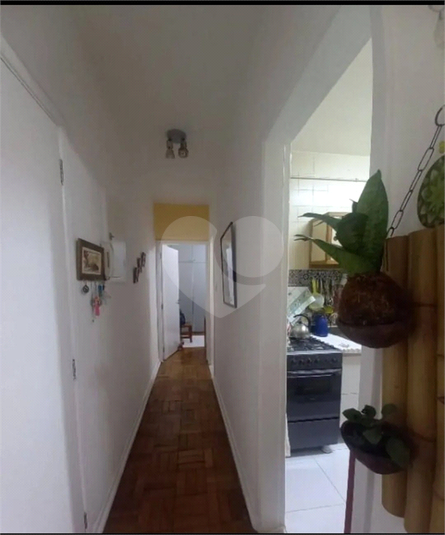Foto REO1129478