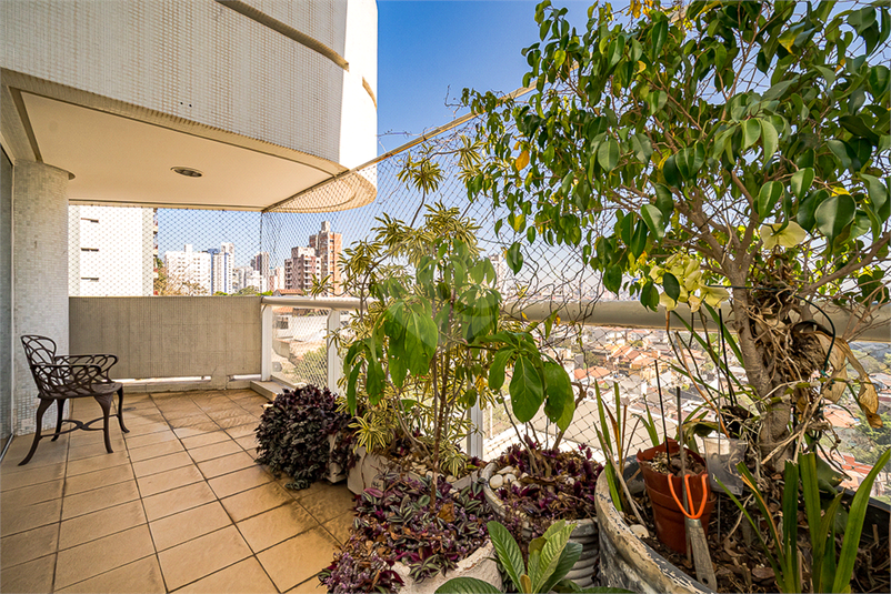 Foto REO1129489