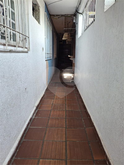 Foto REO1129490