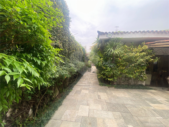 Foto REO1129514