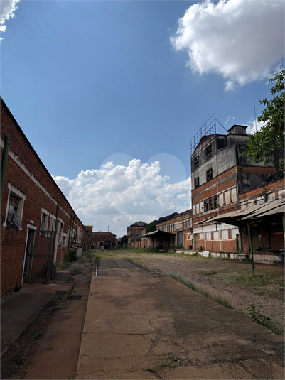 Foto REO1129519