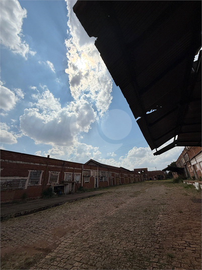 Foto REO1129519