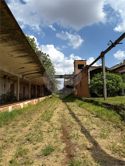 Foto REO1129519