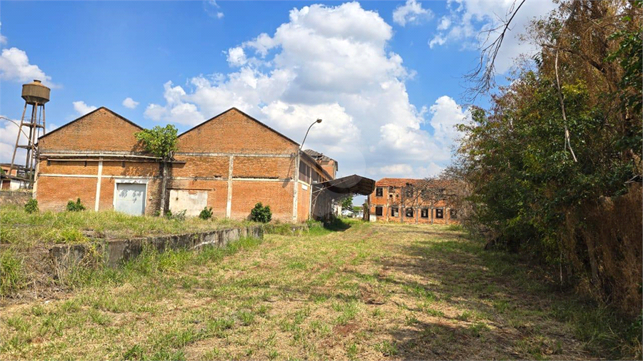 Foto REO1129519