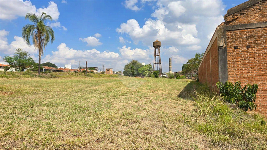 Foto REO1129519