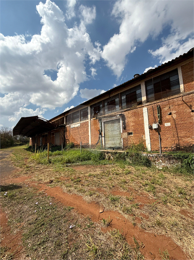 Foto REO1129519