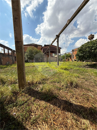 Foto REO1129519