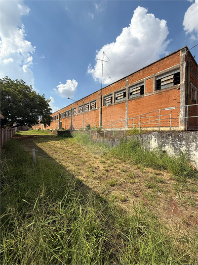 Foto REO1129519