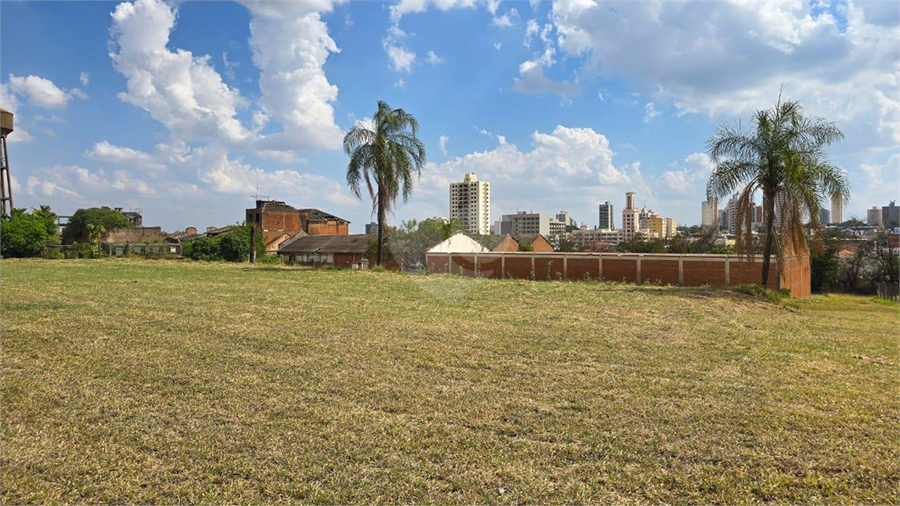 Foto REO1129519