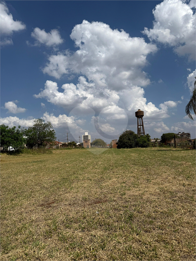Foto REO1129519