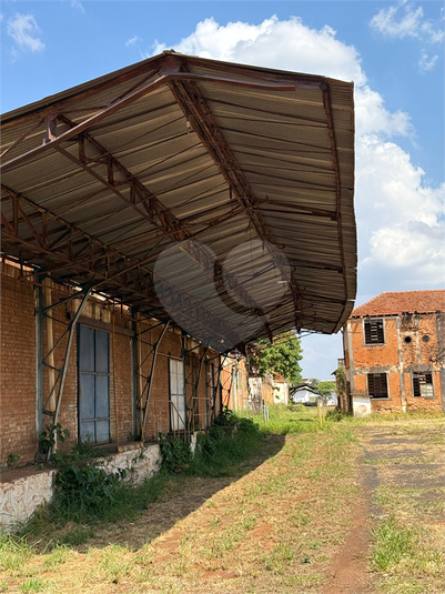 Foto REO1129519