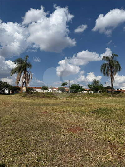 Foto REO1129519