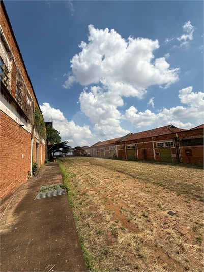 Foto REO1129519