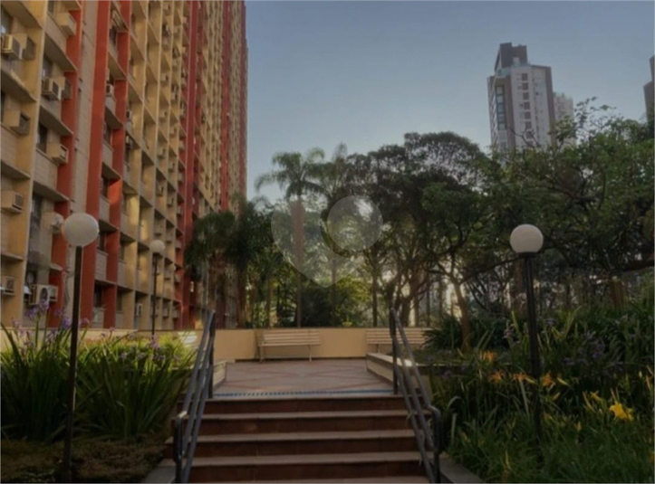 Foto REO1129523